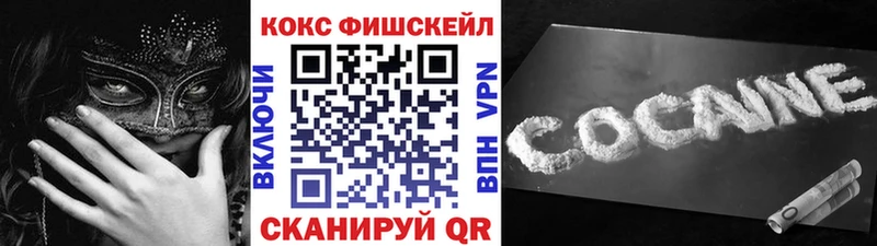 shop наркотические препараты  Суворов  Cocaine Эквадор 