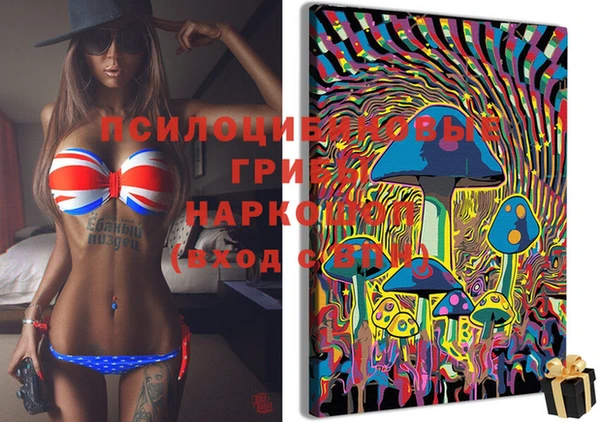 гашиш Магас